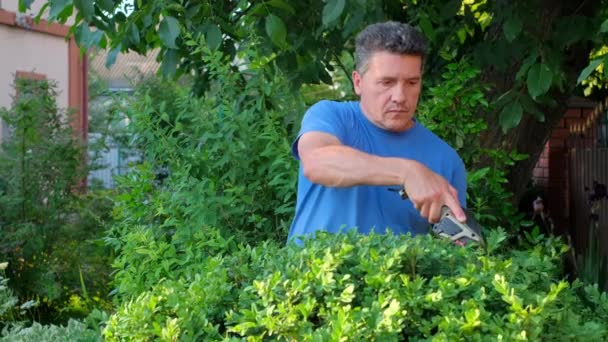 Rijpe blanke tuinman knipt de struiken met snoerloze oplaadbare heesterschaar in de zomertuin, slow-motion - Video