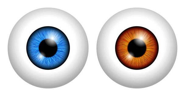 joukko realistinen ihmisen silmämuna eristetty tai lähikuva ihmisen silmämunan verkkokalvon oppilas ja iiris. eps-vektori - Vektori, kuva