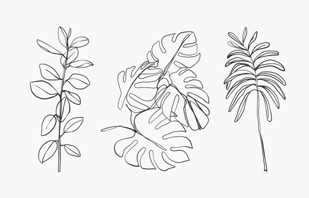 Tropical palm monstera line leaves and botanical leaves art. beautiful hand drawn exotic plants on white background. abstract modern or minimal plants line for posters. vector design. - Vektori, kuva