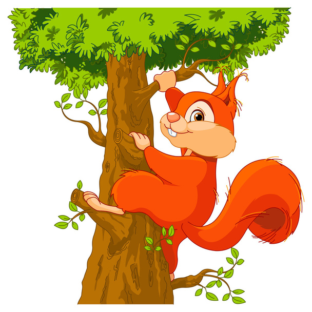 Cute squirrel climbs a tree - Vektör, Görsel
