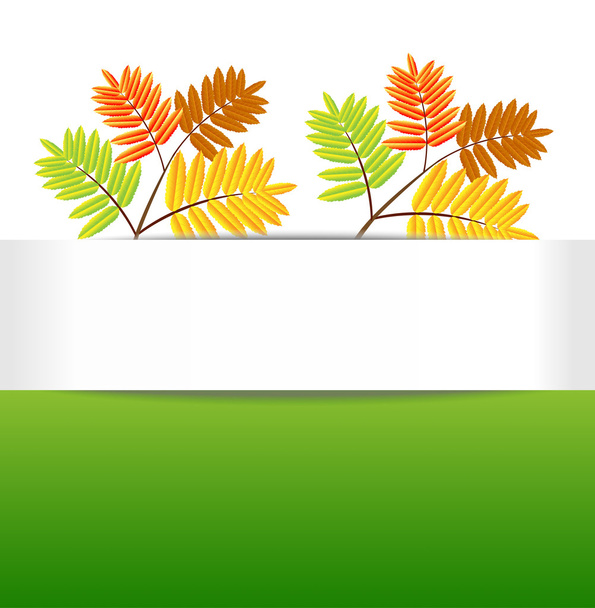 background for a design with the autumn leaves of wild ash - Vector, Image