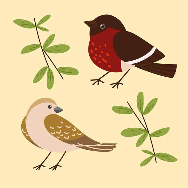 birds and branches flat design - Vettoriali, immagini