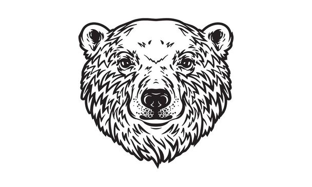 Polar bear head illustration, vector, hand drawn, isolated on light background - Vector, Image