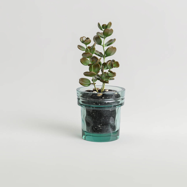 Illustrazione 3d di pianta d'appartamento in vetro in vaso isolato su sfondo bianco - Foto, immagini