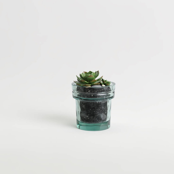 3D απεικόνιση του φυτού εσωτερικού χώρου σε γυάλινη γλάστρα απομονωμένη σε λευκό φόντο - Φωτογραφία, εικόνα