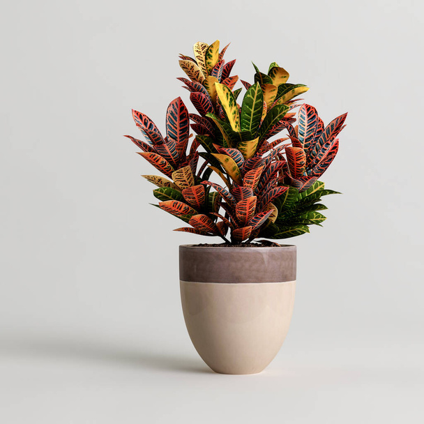Illustration 3D de plantes d'intérieur isolées en pot sur fond blanc - Photo, image