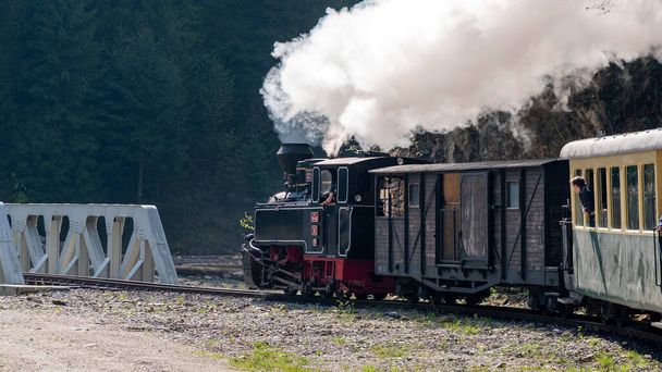 Tren de vapor en movimiento Mocanita en Rumania. Pasajeros disparando desde su interior, exuberante bosque alrededor - Foto, Imagen
