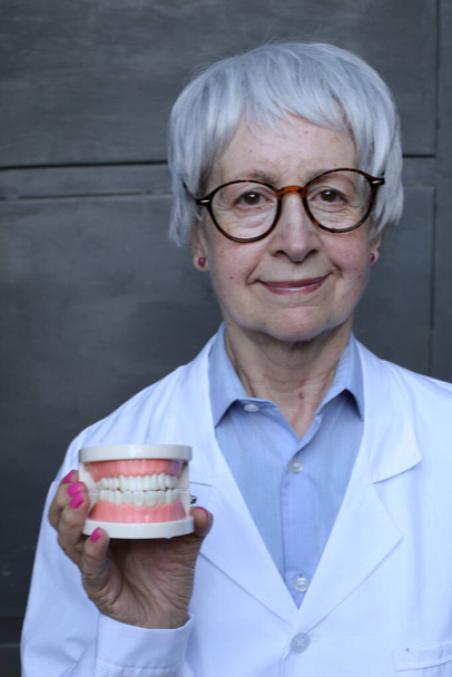 close-up retrato de mulher madura dentista com modelo de mandíbulas no fundo da parede cinza - Foto, Imagem