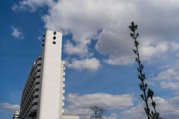 Низький кут Вигляд на розмиту рослину і будівлі з небом на задньому плані у Вроцлаві. - Фото, зображення