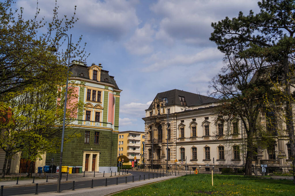 Wroclaw 'daki eski binalar ve ağaçlar - Fotoğraf, Görsel