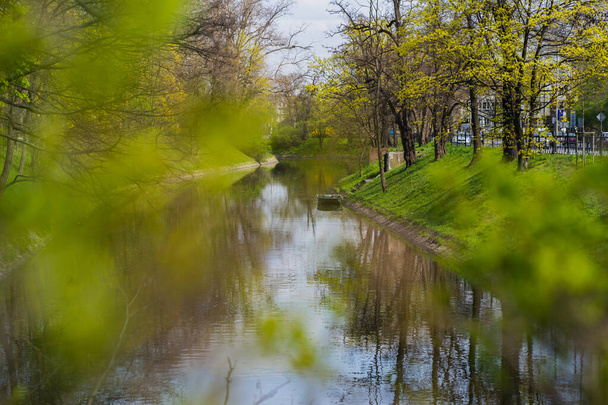 Rivière près de l'herbe et des arbres à Wroclaw - Photo, image