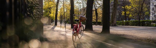 Rower na ulicy miejskiej we Wrocławiu, sztandar  - Zdjęcie, obraz