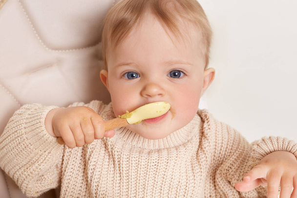 Lähikuva muotokuva viehättävä nälkäinen pieni nainen tyttö yllään beige pusero istuu lusikka käsissä ja syö puuroa tai hedelmiä sose, katsoen kameraa. - Valokuva, kuva