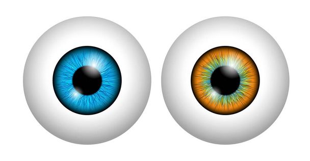 conjunto de olho humano realista isolado ou fechar retina globo ocular humano com pupila e íris. vetor eps - Vetor, Imagem