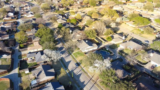 Luchtfoto prachtige lente bloesem met witte Bradford perenbomen rondom woonwijk in de buurt van Dallas, Texas, Amerika. Eengezinswoning onderverdeling grote achtertuin - Foto, afbeelding
