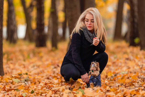 girl with her yorkshire terrier dog in the park - Foto, imagen