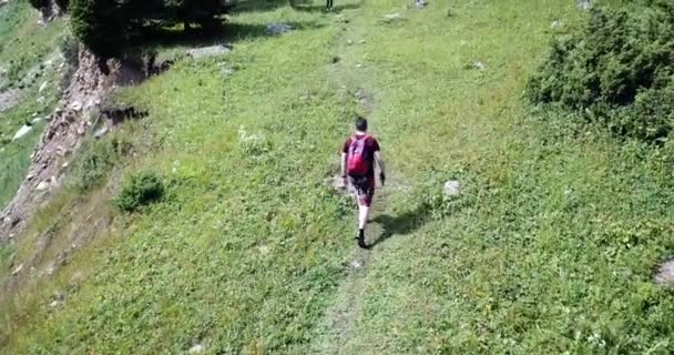 Ein Mann mit Rucksack läuft den Weg entlang. Waldwege. Grünes Gras wächst, hohe Tannen, Blumen, stellenweise liegen Steine. Gebirgslandschaft mit Wiesen. Die Einzelspieler-Kampagne. Kasachstan - Filmmaterial, Video