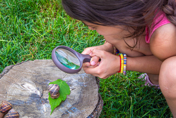 A gyermek megvizsgálja a csigákat a fán. Szelektív fókusz. Természet. - Fotó, kép