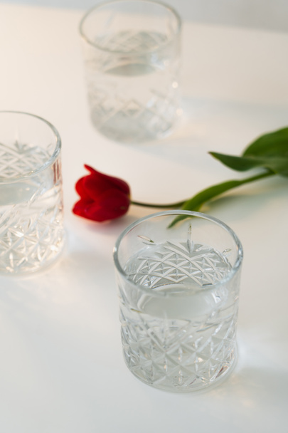 high angle view of red tulip and glasses with water on white tabletop and blurred background - Foto, Bild