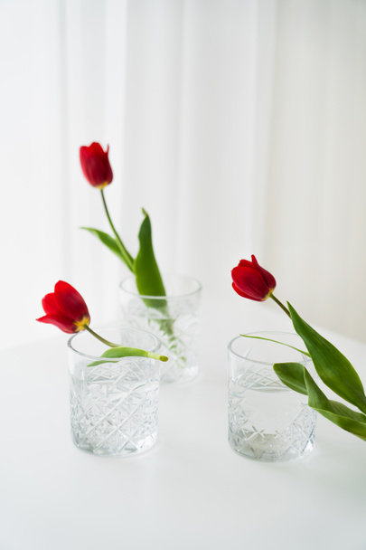 red tulips near glasses of fresh water on white tabletop and grey background - Fotó, kép