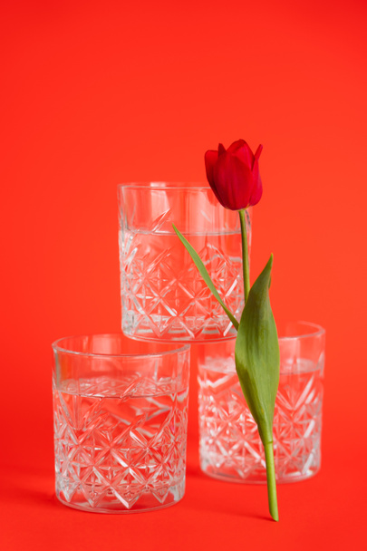 óculos com água pura empilhados perto de tulipa no fundo vermelho brilhante - Foto, Imagem