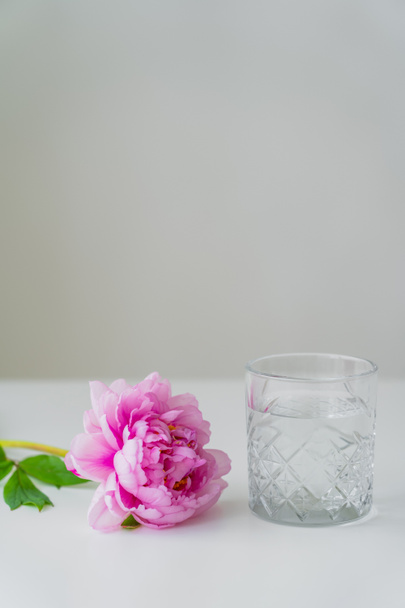 crystal glass with fresh water near peony on white surface isolated on grey - Φωτογραφία, εικόνα