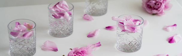 白い表面に爽やかな強壮剤とピンクの花の花びらを持つ多面的なメガネ,バナー - 写真・画像