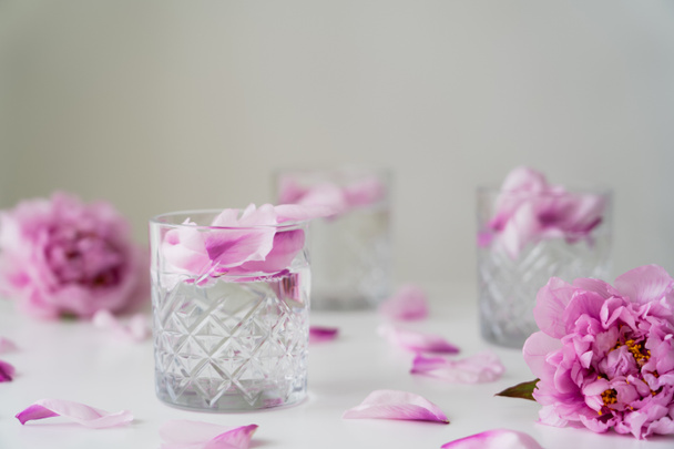 peonie rosa e bicchieri con tonico e petali su superficie bianca isolati su grigio - Foto, immagini