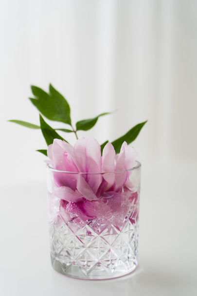 Kristallglas mit rosa Blütenblättern und grünen Blättern in Tonic auf weißem Hintergrund - Foto, Bild