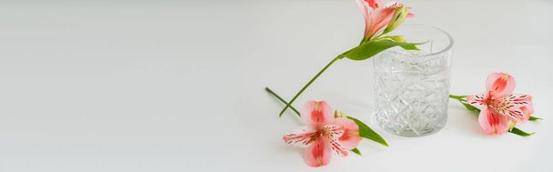 różowe lilie peruwiańskie i szkło z czystą wodą na białej powierzchni z przestrzenią do kopiowania, baner - Zdjęcie, obraz
