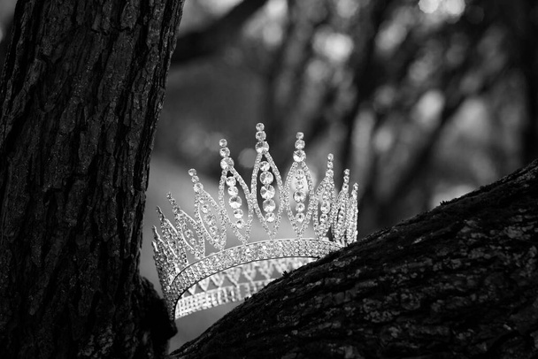 Koninklijke luxe oude kroon, bruiloft accessoires. Zwart-wit. - Foto, afbeelding