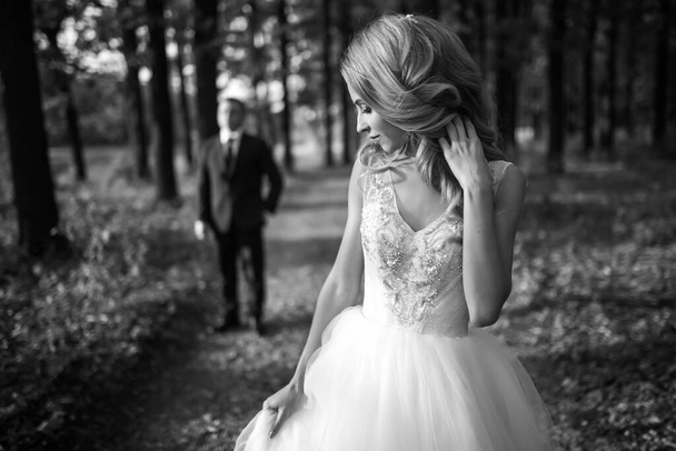 Чорно-білий портрет красивої нареченої для прогулянки в парку. День весілля. Шлюб. Модна наречена
. - Фото, зображення