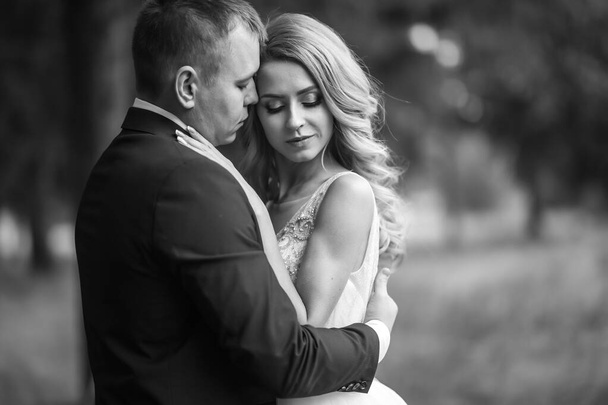 Black and white portrait of beautiful wedding couple at a park. Wedding day. Marriage. - Valokuva, kuva