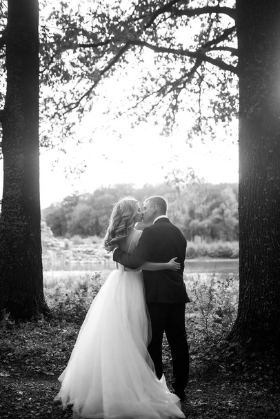 Black and white portrait of beautiful wedding couple at a park. Wedding day. Marriage. - Fotografie, Obrázek