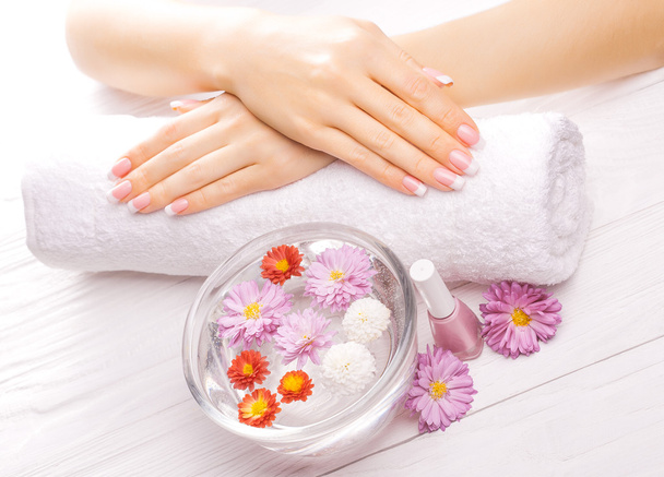 french manicure with colorful chrysanthemum - Photo, Image