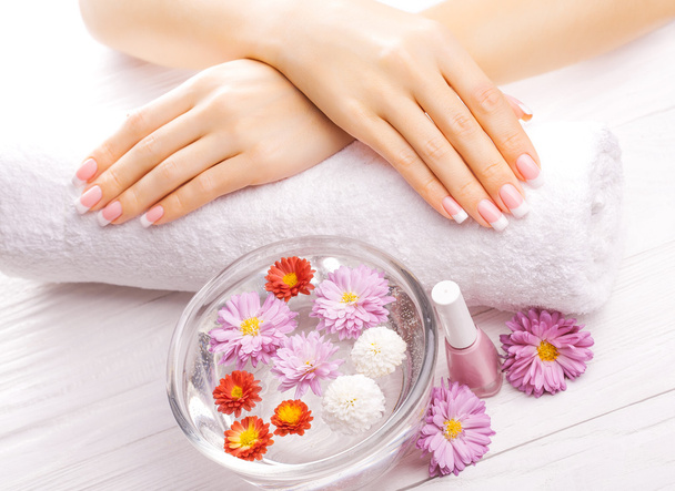 french manicure with colorful chrysanthemum - Foto, imagen