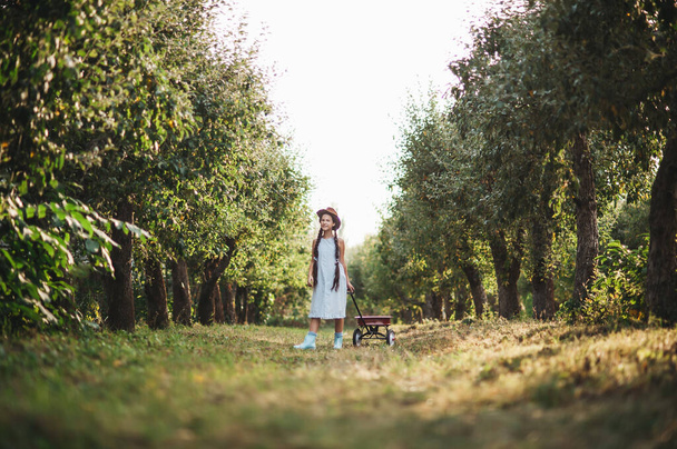 Girl with Apple in the Apple Orchard. Beautiful Girl Eating Organic Apple in the Orchard. Harvest Concept. Garden, Toddler eating fruits at fall harvest. - Photo, image