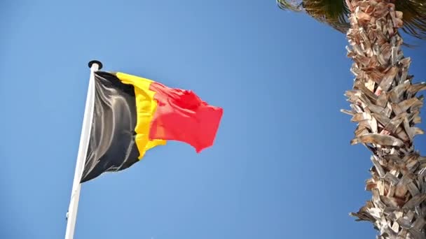 Η βελγική σημαία κυματίζει στον άνεμο στο κοντάρι της σημαίας. Μπλε ουρανός στο βάθος, φοίνικας κοντά. Αργή κίνηση - Πλάνα, βίντεο