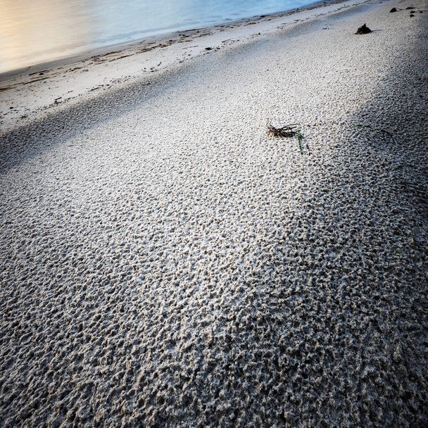ochtendlicht op de fijne zandkorrels met water aan de centrale kust van nsw - Foto, afbeelding