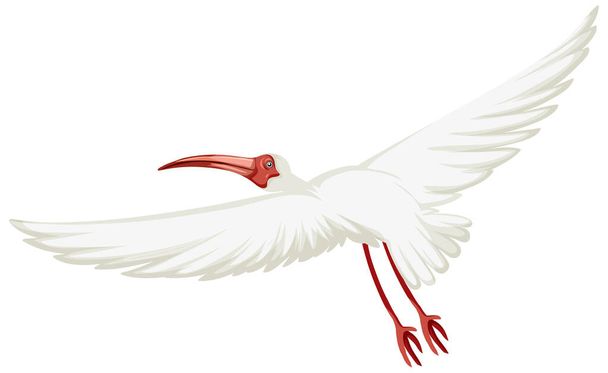 Ilustración aislada ibis blanco americano - Vector, imagen