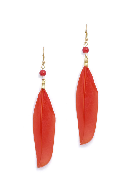 earrings with red feathers on a white background - Photo, Image
