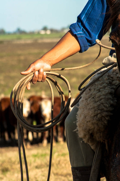 detail of a cowboy with the lasso in his hand. this worker from the south of brazil is called a gaucho - Fotoğraf, Görsel