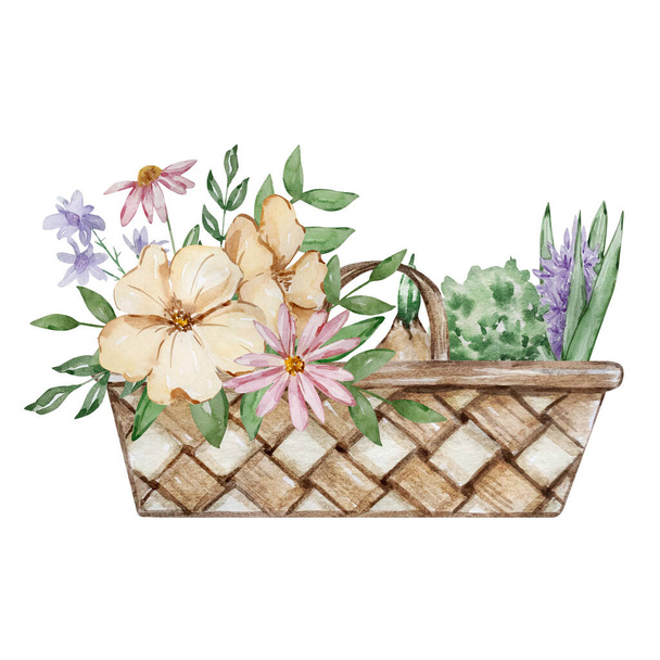 Watercolor wicker basket with garden flowers and leave - Фото, зображення