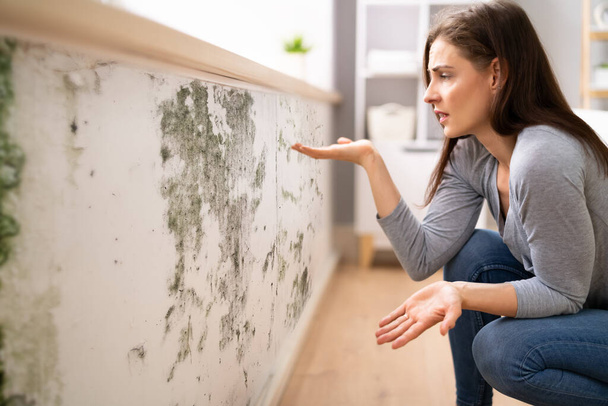 Side View Of A Shocked Young  Woman Looking At Mold On Wall - Foto, Imagem
