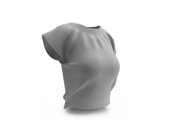 Kobieta bluzka 3D Ilustracja scena makieta na odosobnionym tle - Zdjęcie, obraz
