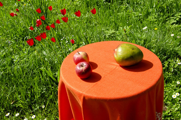 appels en peer. ecologische voedsel. - Foto, afbeelding