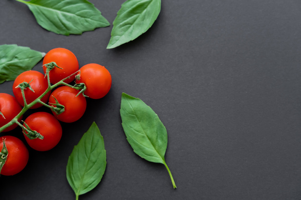 Vista superior de albahaca fresca y tomates cherry sobre fondo negro  - Foto, Imagen