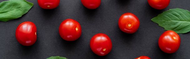 Vue du dessus des tomates cerises entières et des feuilles de basilic sur fond noir, bannière  - Photo, image