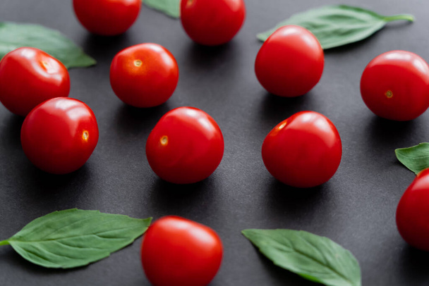 Close up view of natural cherry tomatoes and basil leaves on black background  - Foto, afbeelding