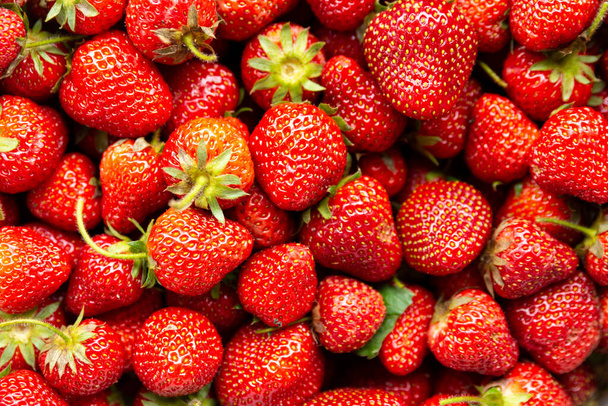 close up of many strawberries - Photo, Image